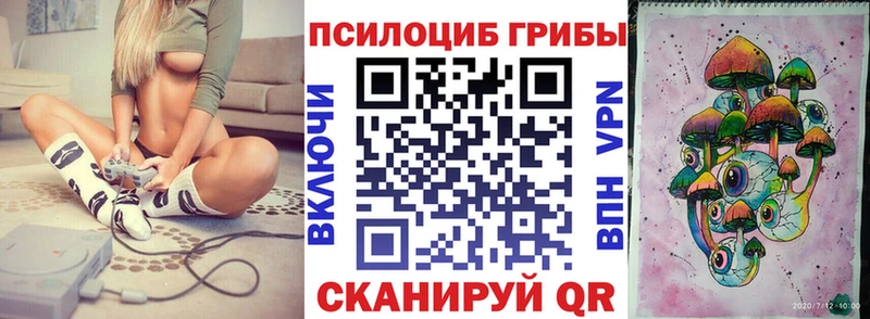 Псилоцибиновые грибы GOLDEN TEACHER  Купить закладки  Казань 